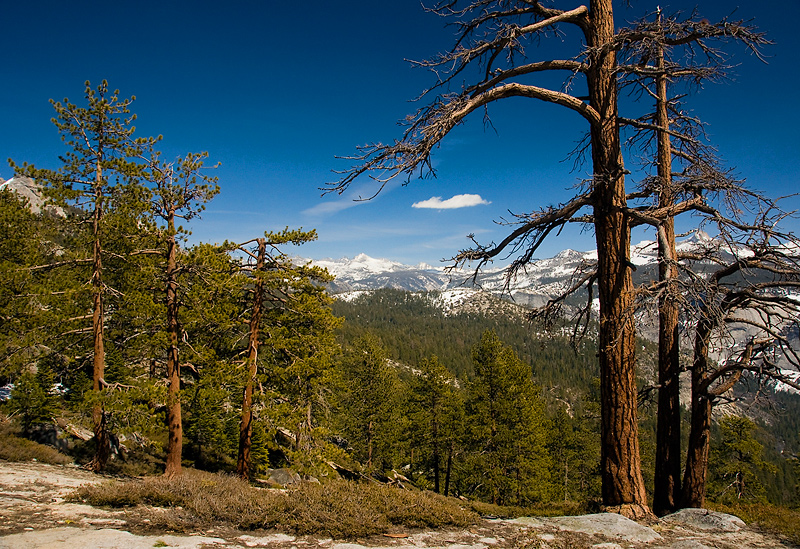 Yosemite Valley - California